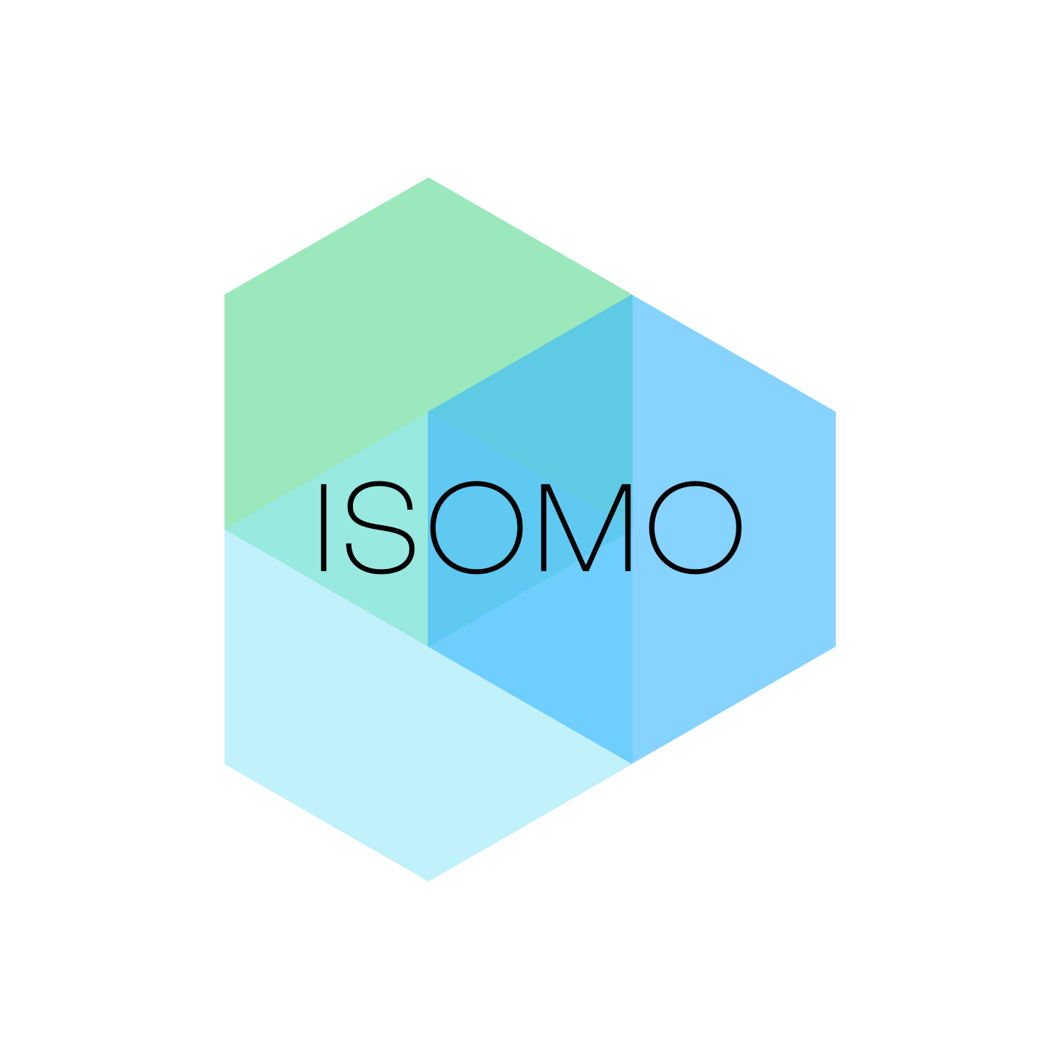 Isomo Recruitment